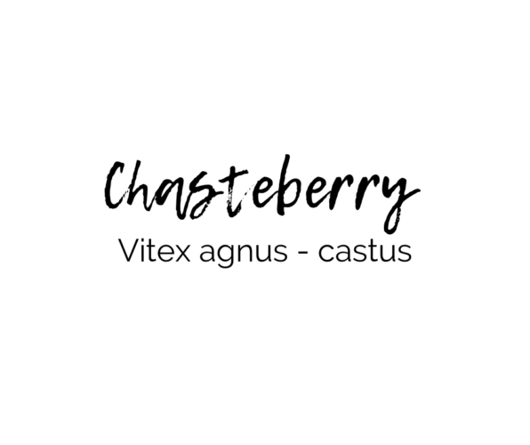 Chasteberry, Vitex for Natural PMS Relief